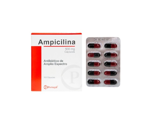 AMPICILINA 500MG CJA x 100 CAP - PORTUGAL