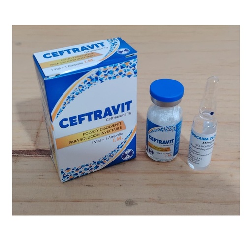 CEFTRAVIT (ceftriaxona 1g) 1VIAL+1AMP I.M - DP