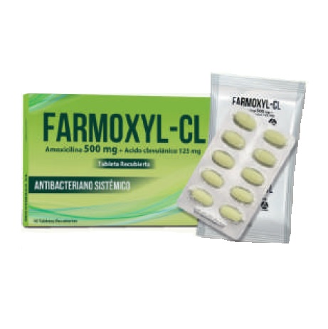 FARMOXYL CL 500/125MG CJA x 10TAB - LYAFARM